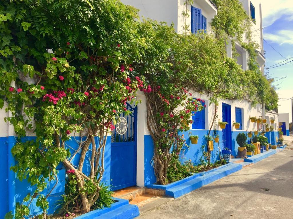 Apartament chez souad Oualidia Pokój zdjęcie